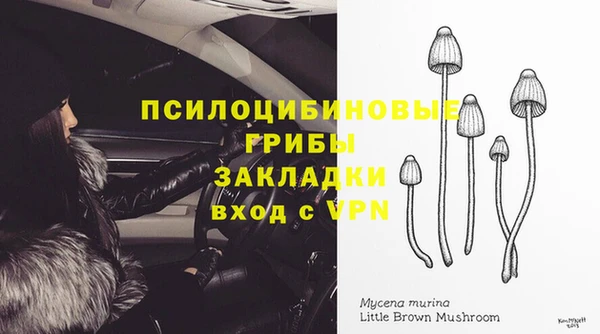 крисы Балахна